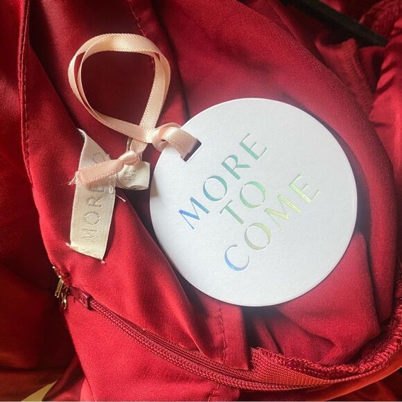 More To Come Blaire Mini Dress in Wine red satin ruched blouson sleeve Revolve M - Picture 7 of 8